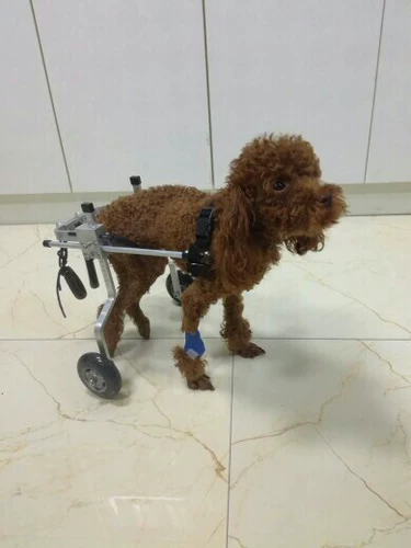 Собачья инвалидная коляска инвалидная коляска инвалида -коляска для собак -скутер парализован