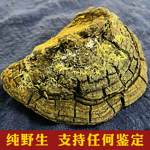 Тибетская шелковичная шелковица желтая дикая дикая подлинная 250 г чистый натуральный аутентичный Phnom Penh Mulberry Mulberry Mulberres