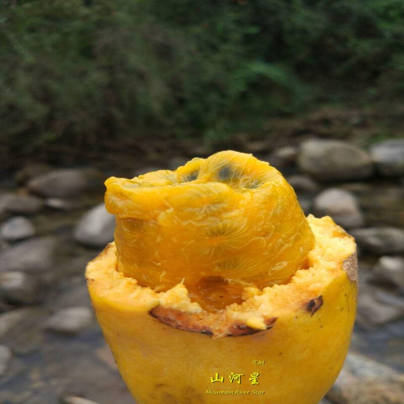 三明物流价格