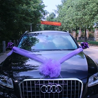 Вариант пакет ER Purple