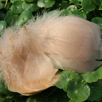 100 корней в хаки