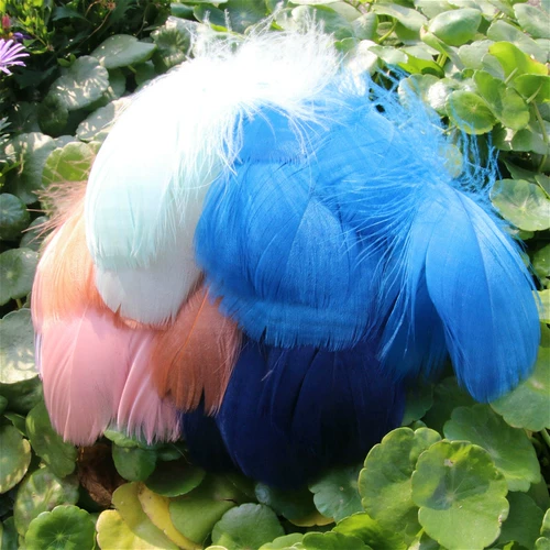 Бесплатная доставка фэнтезийная макарон цвето