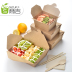 Hộp giấy kraft Shangji hộp ăn trưa dùng một lần hộp salad takeaway hộp thức ăn nhanh hình chữ nhật gói hộp ăn trưa hộp cơm trưa - Hộp cơm điện sưởi ấm camen điện Hộp cơm điện sưởi ấm