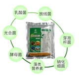 Nongshengle em бактерий семена ферментации кровати -коса