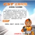 Zhengxin lốp 3.00-10 lốp chân không 8 lớp 15X3.0 xe máy lốp xe điện 300-10 14X3.2