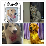 Хлопковый слюнявчик, шарф, подходит для подростков