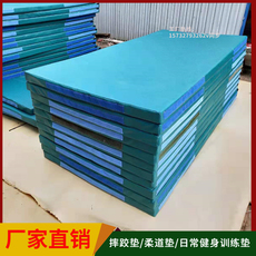 Коврик для дзюдо 柔道摔跤垫柔道加厚防滑训练垫武术垫运动健身垫子出口比赛柔术垫