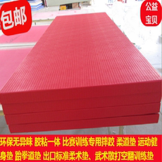 Коврик для дзюдо 柔道摔跤垫柔道加厚防滑训练垫武术垫运动健身垫子出口比赛柔术垫