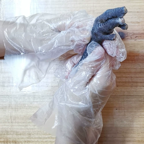 Специальное предложение одноразовое перчаточные омары куриные крылышки перчатки тонкие прозрачные пластиковые экстракции для выпечки для выпечки, чтобы предотвратить грязь 30%