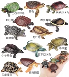 Тердная пластиковая черепаха моделирование модели Pacific Haili Turtle 玳瑁 Бразильские черепахи Украшения черепахи Слонов
