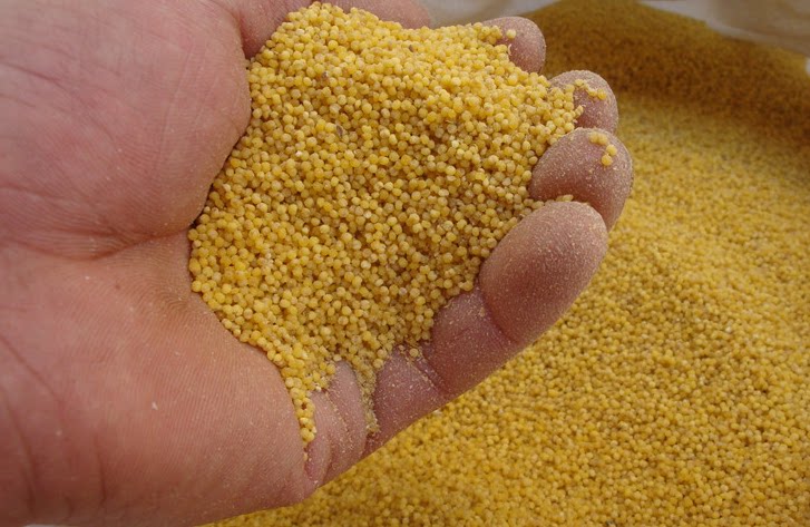 山西特产 黄小米 月子米 沁州黄小米原产地 5斤包邮 新店开张首斤半价