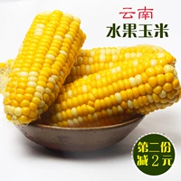 Yunnan Fresh Fruit Corn Sweet и хрустящие 5 Catties сладких кукурузных фермеров Свежая кукурузная палочка сразу же ест