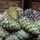 Новые товары Yunnan Wild Fresh Свежие кедро