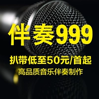 Storm Chen Mei Đồng hành với Nhạc cụ violon Chất lượng cao - Nhạc cụ MIDI / Nhạc kỹ thuật số mic thu âm boya