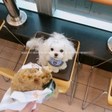 Слюнявчик, плетеный нагрудник ручной работы, шарф, брендовый милый аксессуар