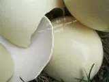 Натуральная страус яичная скольжение