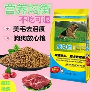 Thức ăn cho chó thịt bò tươi 10 kg túi lớn thành chó con Chó Golden Retriever Husky dinh dưỡng muối thấp 20 kg canxi - Gói Singular