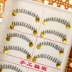 Nhật bản trang điểm khỏa thân Đài Loan làm bằng tay lông mi COS tự nhiên lông mi giả trong suốt thân 10 cặp của một hộp