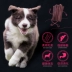 Pet dog đồ ăn nhẹ 500 gam thịt bò gậy Teddy Vàng Alaska đào tạo pet thịt khô đồ ăn nhẹ thịt bò strips