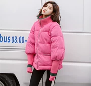 Real shot 208 phụ nữ mùa đông mới ngắn áo khoác cotton dày thời trang nhung kẻ sọc phiên bản Hàn Quốc của thủy triều hoang dã