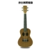 Đàn ukulele chính hãng 24 inch 26 inch ballad guitar nhỏ ukulele Hawaii bốn nhạc cụ - Nhạc cụ phương Tây đàn guitar ba đờn Nhạc cụ phương Tây