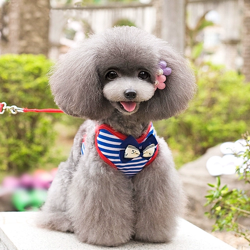 Веревочный жилет с собакой, собака, ходящая собака веревка для собак воротнич