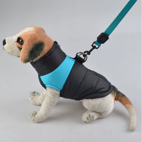 Тедди утолщенный зимний питомец с пиджаком с собачьем хлопчатобу