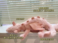 Оригинальный заказ Pink Dragon с синим мешком для пыли