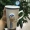 Jingle mèo cốc gốm sáng tạo văn phòng công suất lớn với nắp với muỗng tùy chỉnh cặp vợ chồng ăn sáng cốc nước cà phê - Tách bình hút nước cho bé