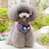 Жилет -type Puppy Dog Dest Bess Straft Tracting Toping Teddy VIP Bel Mei Biebie маленькая собака Ходящая собака Бесплатная доставка