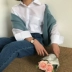 Mùa xuân phụ nữ Hàn Quốc tính khí ve áo cơ bản màu rắn sạch dài tay áo sơ mi giản dị đáy áo sơ mi
