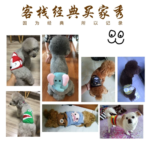 Gong Dog Seality Sanitage Brants Safety Stars Strap, Pure Cottontdy Pet Pet Products Estrus Внутренняя паста подгузники