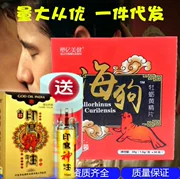 Mua hai tặng một con hàu biển miễn phí viên thuốc Huang Jing hộp quà tặng chính hãng trung niên sản phẩm chăm sóc sức khỏe cho vợ chồng - Thực phẩm dinh dưỡng trong nước