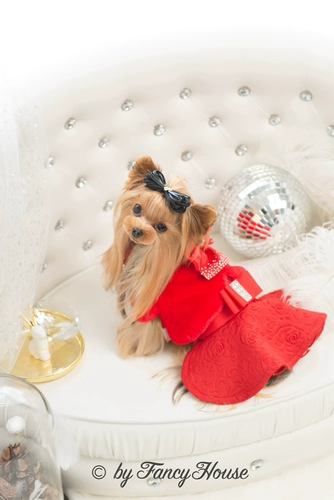 Fancy House2019 Осенний и зимний новый продукт Liang Diamond Purple Purple Cotton Cotton Club Walter Teddy 19fh05d/5