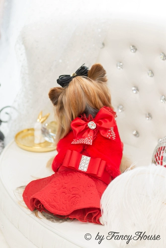 Fancy House2019 Осенний и зимний новый продукт Liang Diamond Purple Purple Cotton Cotton Club Walter Teddy 19fh05d/5