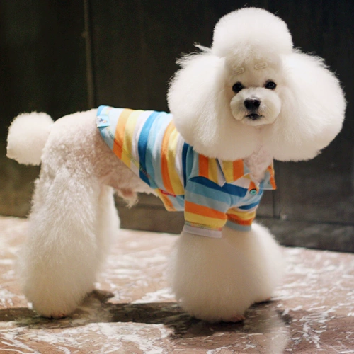 Nicovaer nim wil осенний домашний животный Polo Polo Top T -Fort Dog Одежда Teddy 146/5