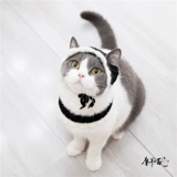 Милая шапка, шарф, шарф-платок, трикотажный комплект ручной работы, фальшивый воротник, аксессуар, косплей