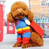 Собака Супермен одежда Тедди превращается в одежду для домашних собак, осень и зима, бен Пингбин.