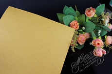 Сертификат / документы 新品古董影视道具资料证件委托申报仿古收藏授权委托三书一证