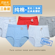 3 quần lót và mát mẻ chính hãng quần short cotton cao eo nam kích thước lớn quần short cotton trung niên lỏng lẻo