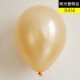 [香槟金50个]