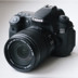 Canon EOS 60D SLR máy ảnh kỹ thuật số 18 triệu điểm ảnh lật màn hình HD máy ảnh SLR chuyên nghiệp SLR kỹ thuật số chuyên nghiệp