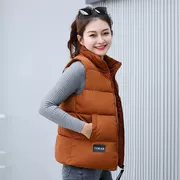 Vest nữ xuống cotton Hàn Quốc áo ngắn xuân hè thu đông 2018 mới vest không tay áo khoác cotton áo khoác vest