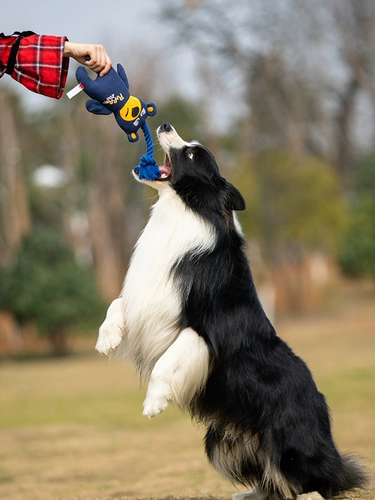 Гигви - игрушка для собак, золотой ретривер, большие собаки, растяжение целого хлопка холст