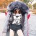 Mùa đông 2018 của phụ nữ mới tất cả áo khoác lông cáo trong cổ áo lông dài để vượt qua áo bông dày - Faux Fur