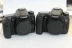 Canon EOS 70D kit (18-135MM) máy ảnh kỹ thuật số SLR máy ảnh SLR chuyên nghiệp với WiFi