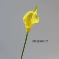 Little Horseshoe Lotus 1 [желтое/желтое ядро]