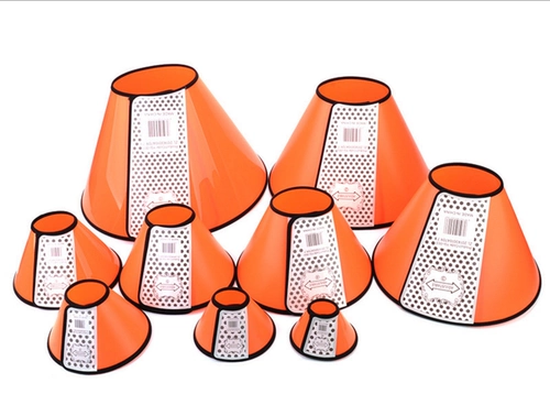 Элизабет Кружная собака и Кошка глубоко воротнич