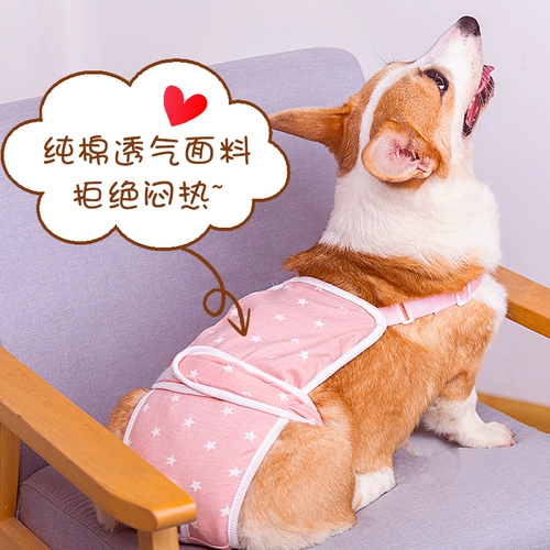 Мальчик собака собака хлопковое биологическое брюки по ремню тела плюшевое плюшевое медведь фана