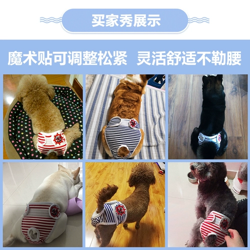 Собака Pet Dog Pure Cotton Physiological штаны Corgi Akita Fat Teddy Safe Menkeng брюки разбиты беременные тети штаны